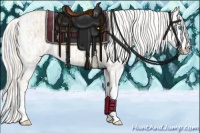 Horse Color:Cremello Sabino  and Cremello Sabino Splash 