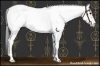 Horse Color:Black Tobiano Frame Near Fewspot 