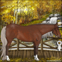 Horse Color:Silver Brown 