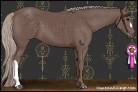 Horse Color:Chocolate Silver Black 