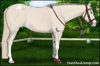 Horse Color:Smoky Creme Blanket