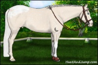 Horse Color:Silver Smoky Creme Roan Snowflake Varnish