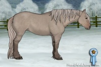 Horse Color:Silver Grullo Roan 