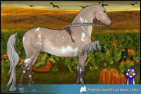 Horse Color:White Spotted Silver Brown Dun 