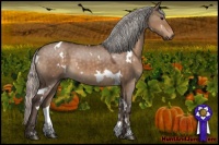 Horse Color:White Spotted Silver Brown Dun 