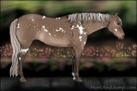 Horse Color:White Spotted Silver Brown Dun