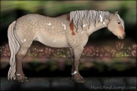 Horse Color:White Spotted Silver Brown Dun 