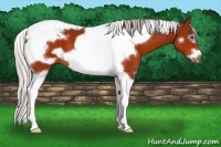 Horse Color:White Spotted Silver Brown Tobiano Frame 