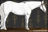 Horse Color:Silver Brown Pearl Sabino Leopard
