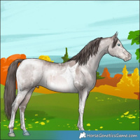 Horse Color:Platinum White Spotted Brown Pearl Dun Tobiano Brindle
