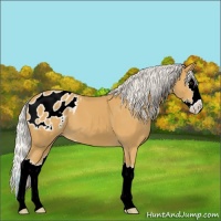 Horse Color:Silver Buckskin Sabino Splash Blanket 