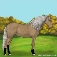 Horse Color:Silver Smoky Black 