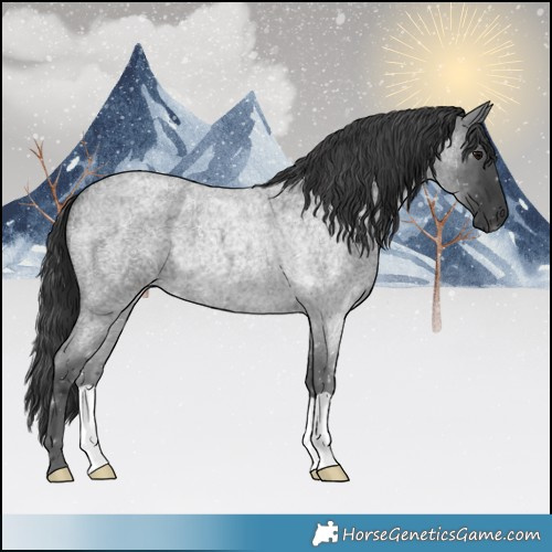 Horse Color:Blue Roan 