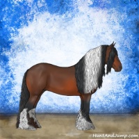 Horse Color:Bay Tobiano Rabicano 