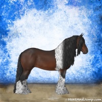 Horse Color:Brown Tobiano Rabicano