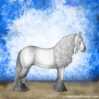 Horse Color:Gray Brown Sabino Rabicano 