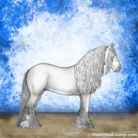 Horse Color:Gray Brown Sabino Rabicano 