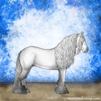 Horse Color:Gray Blue Roan Sabino Rabicano