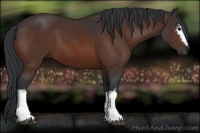 Horse Color:White Spotted Brown 