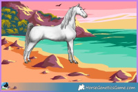 Horse Color:Black Sabino Appaloosa Rabicano 