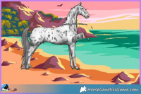 Horse Color:Black Sabino Appaloosa Rabicano