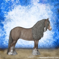 Horse Color:Liver Red Dun Mushroom Sabino Rabicano Brindle