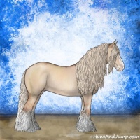 Horse Color:Gold Champagne Dun Sabino Splash Rabicano 
