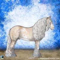 Horse Color:Gold Champagne Dun Mushroom Sabino Splash Rabicano Brindle