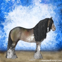 Horse Color:Brown Dun Sabino Rabicano