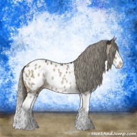 Horse Color:Liver Red Dun Mushroom Sabino Splash Appaloosa Rabicano Brindle 