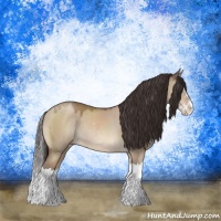 Horse Color:Sable Champagne Dun Sabino Splash Rabicano