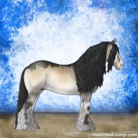 Horse Color:Brown Onyx Sabino Rabicano 