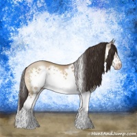 Horse Color:Sable Champagne Dun Sabino Splash Frame 