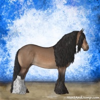 Horse Color:Brown Dun