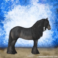 Horse Color:Black Rabicano 