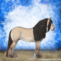 Horse Color:Brown Dun Rabicano 