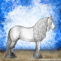 Horse Color:Gray Black Rabicano