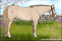 Horse Color:Perlino Rabicano