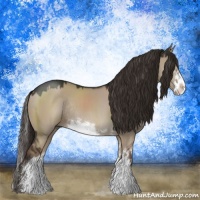 Horse Color:Liver Red Dun Sabino Rabicano
