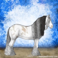Horse Color:Sable Champagne Dun Mushroom Sabino Splash Rabicano 