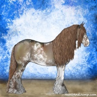 Horse Color:Liver Red Dun Sabino Rabicano