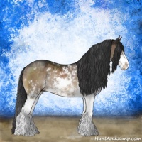 Horse Color:Brown Dun Sabino Rabicano