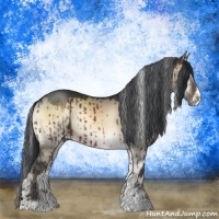 Horse Color:Brown Onyx Sabino Rabicano Brindle 