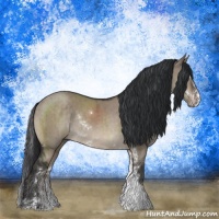 Horse Color:Brown Dun Sabino Rabicano Brindle