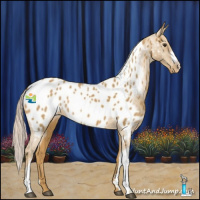 Horse Color:Palomino Near Leopard