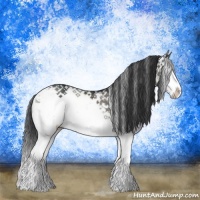Horse Color:Grullo Sabino Splash Rabicano 