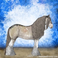 Horse Color:Liver Red Dun Mushroom Sabino Rabicano 