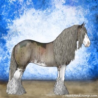 Horse Color:Liver Red Dun Mushroom Sabino Splash Rabicano Brindle 