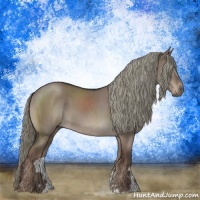 Horse Color:Liver Red Dun Mushroom Sabino Brindle 