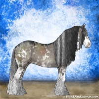 Horse Color:Grullo Sabino Rabicano Brindle